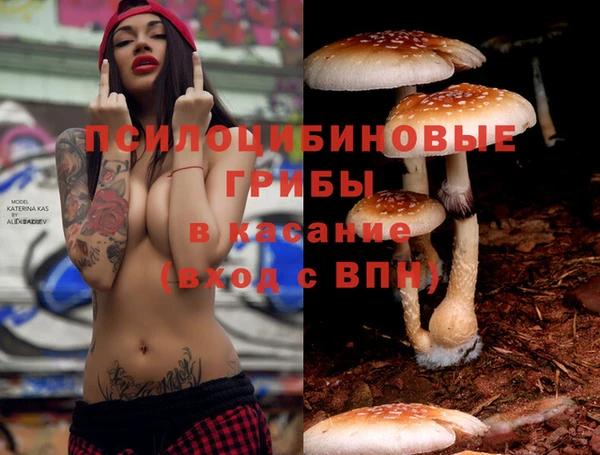 тгк Богородицк