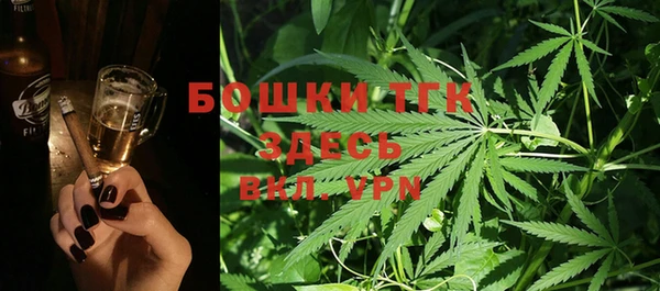тгк Богородицк